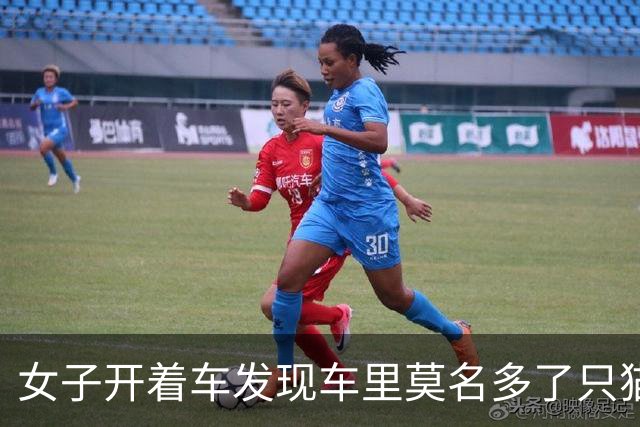 女子开着车发现车里莫名多了只猫，最后找到一家四口，人都懵了：你们一家什么时候搬进来的？