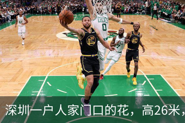 深圳一户人家门口的花，高26米，直接爬上9层楼，太壮观了