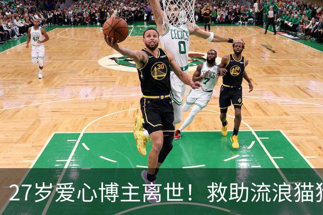 27岁爱心博主离世!救助流浪猫狗感染罕见真菌,ICU抢救22天,丈夫:她在我眼里没有缺点